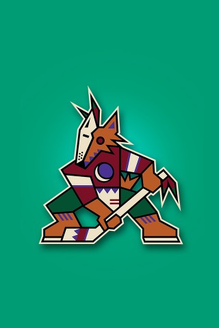 Arizona Coyotes 