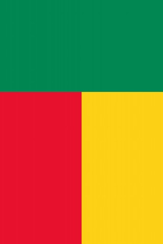 Benin Flag