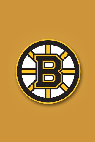 Boston Bruins