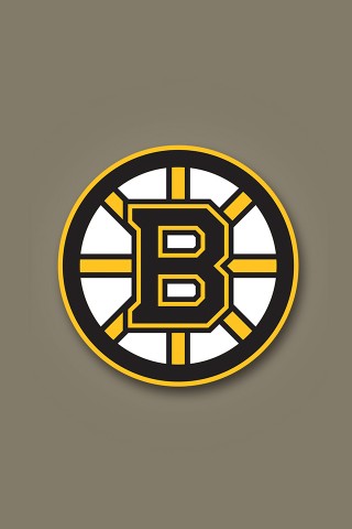 Boston Bruins