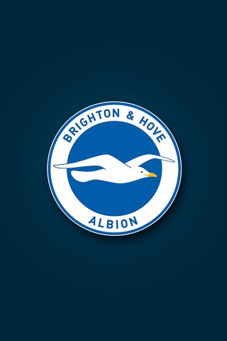 Brighton Hove Albion 