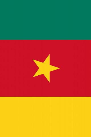 Cameroon Flag