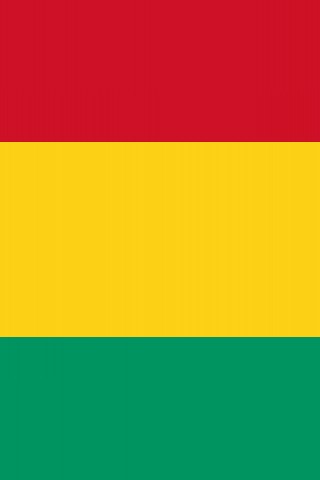 Guinea Flag