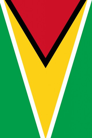 Guyana Flag