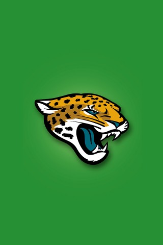 Jacksonville Jaguars 