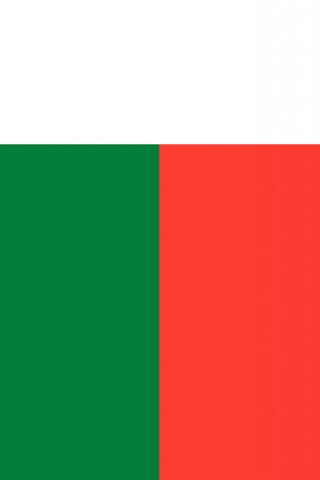 Madagascar Flag