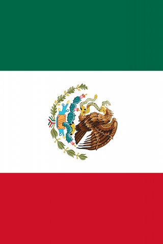 Mexico Flag