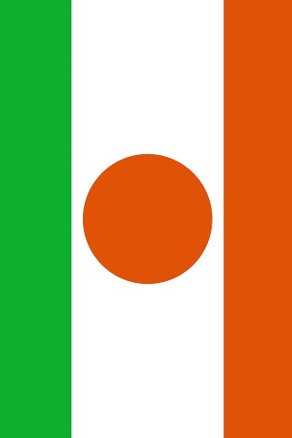 Niger Flag