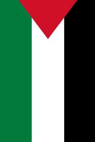 Palestine Flag