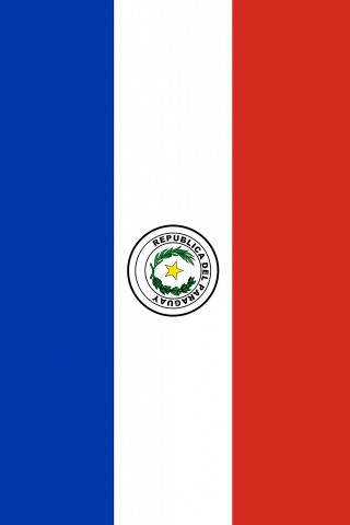 Paraguav Flag