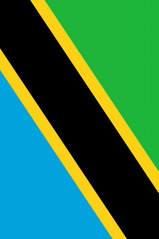 Tanzania Flag