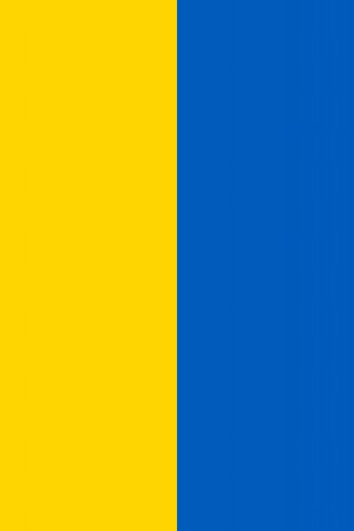 Ukraine Flag