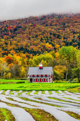 Autumn House