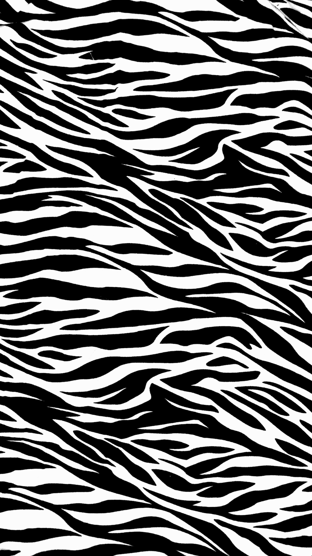Zebra Print Iphone Wallpaper Hd