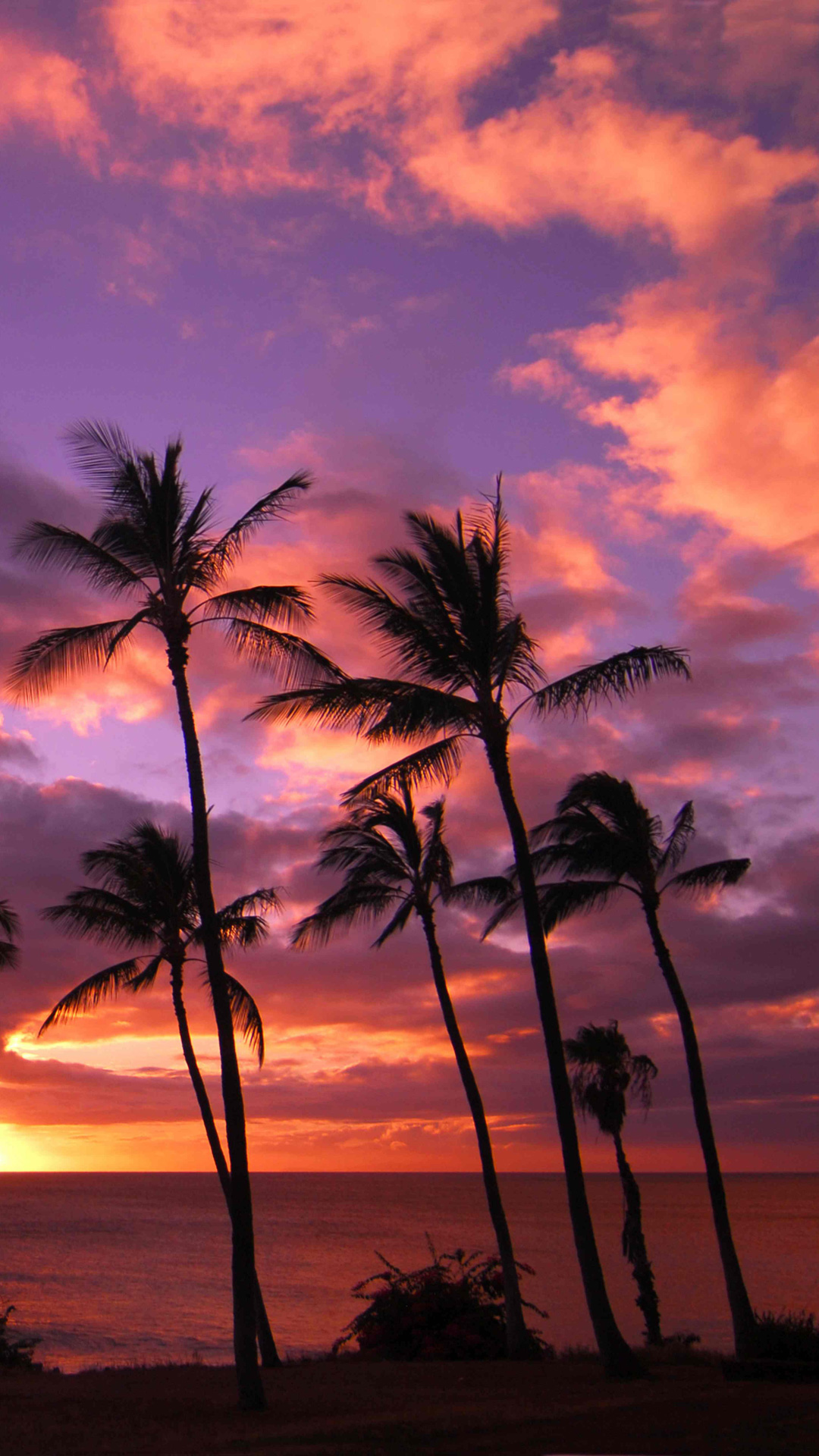 Hawaii Sunset Iphone Wallpaper Hd