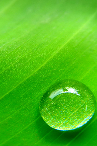 Water Drop