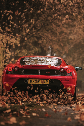 Ferrari Autumn