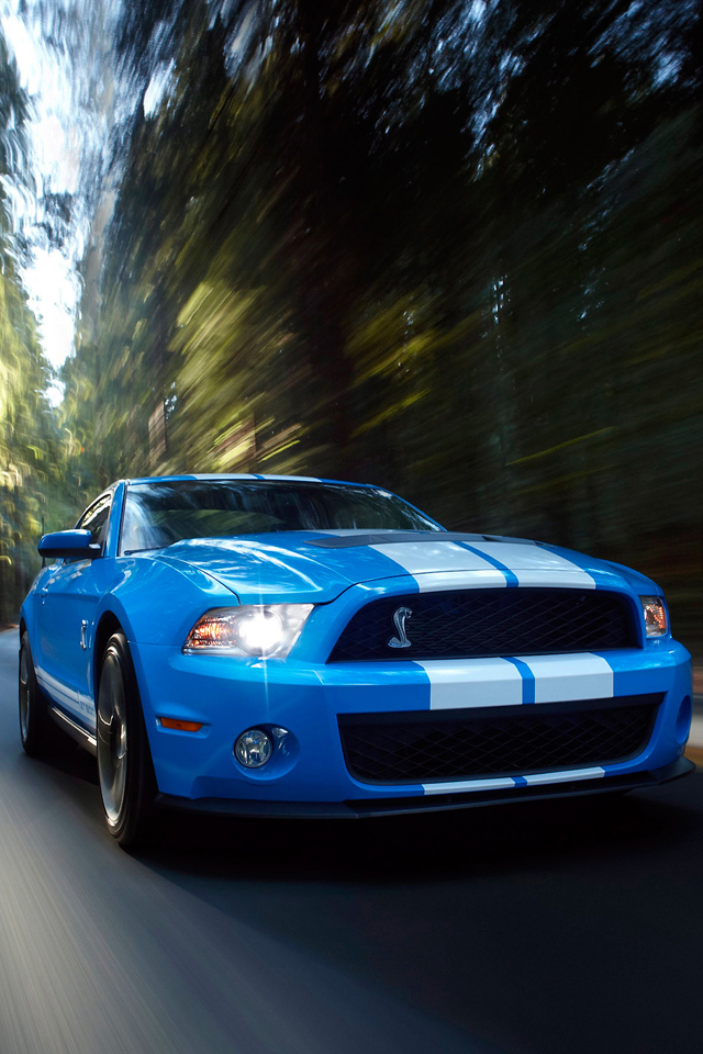 Ford Shelby Wallpaper