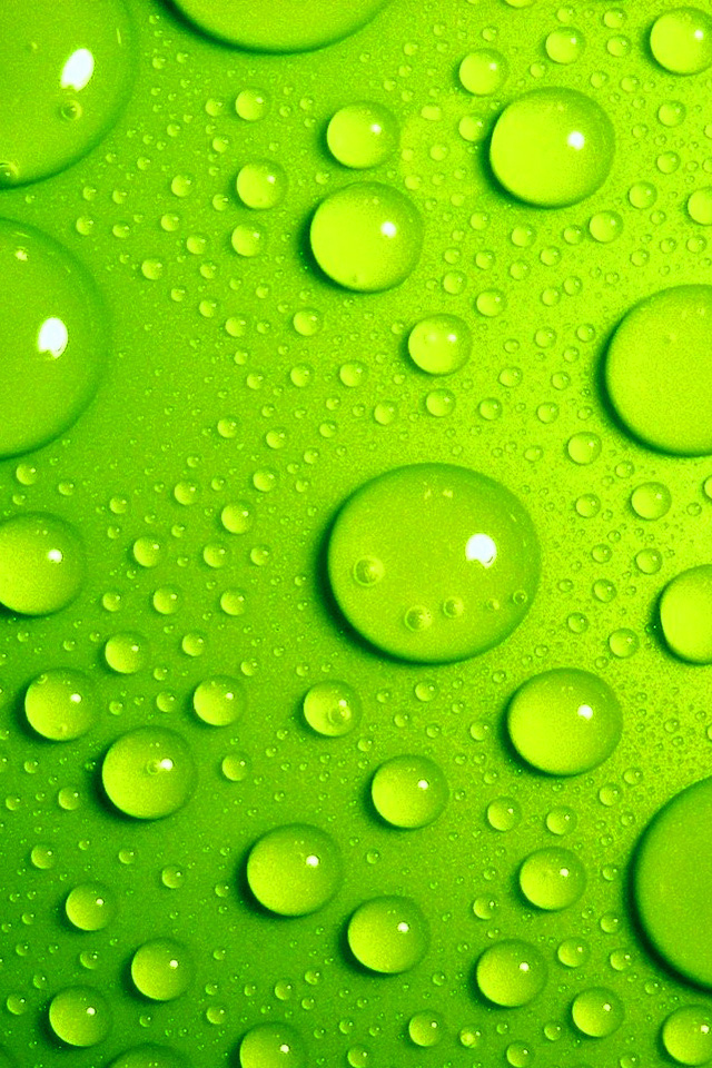 Green Droplets Wallpaper