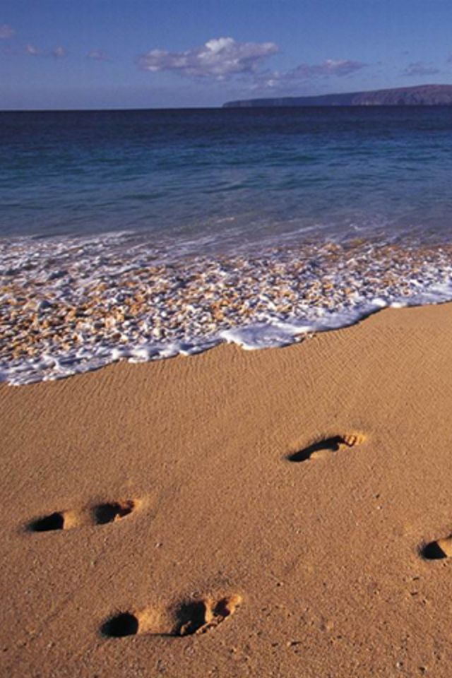 Beach Footprints Wallpaper