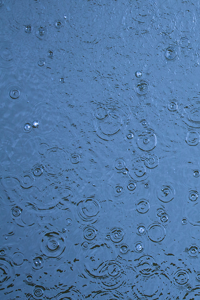 Rain Drop Ripples Wallpaper