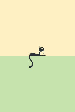 Minimal Cat