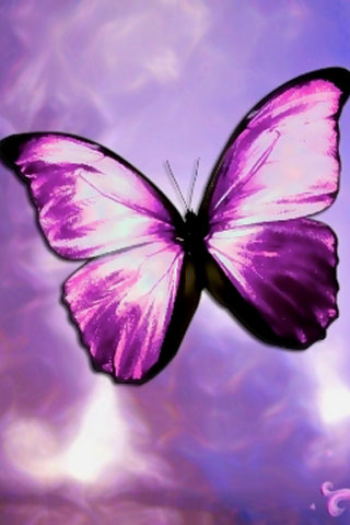 free butterfly wallpaper. Butterfly iPhone Wallpaper