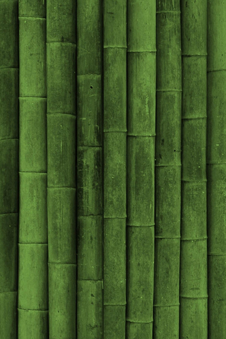 Bamboo Texture