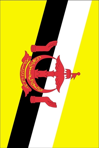 Brunei Flag