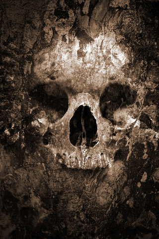 Skull