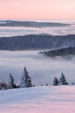 Snow Landscape