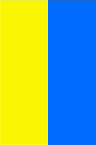 Ukraine Flag