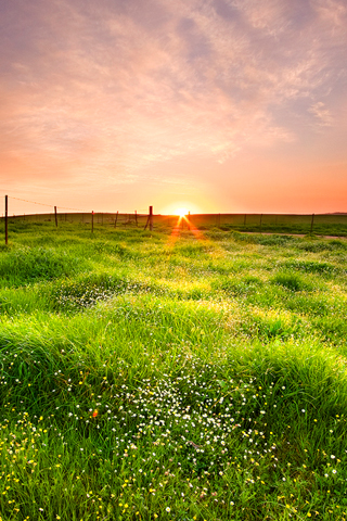 Horizon Sunrise