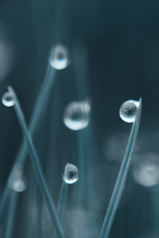 Water Drops