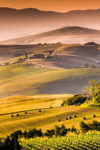 Country Landscape