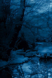 Winter Season