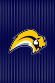 Buffalo Sabres