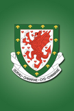Wales Football...