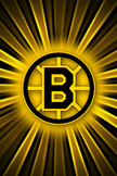 Boston Bruins