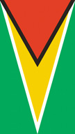 Guyana Flag