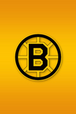 Boston Bruins