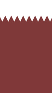 Qatar Flag