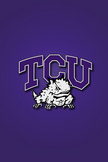 TCU Horned Fro...