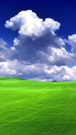 Green Grass