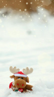 Reindeer