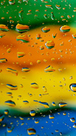 Colorful Raind...