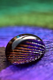 Water Drop