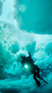 Diver