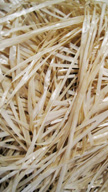 Bamboo Crane