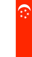 Singapore Flag